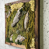 Vista laterale del quadro di muschio Waldspuren con composizione tridimensionale di legno e piante