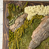 Primo piano degli elementi in legno e dei materiali naturali del quadro di muschio Waldspuren