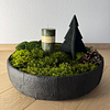 WINTER FOREST: runde anthrazitfarbene Moosschale mit grüner Kerze, Dekobaum und Zapfen