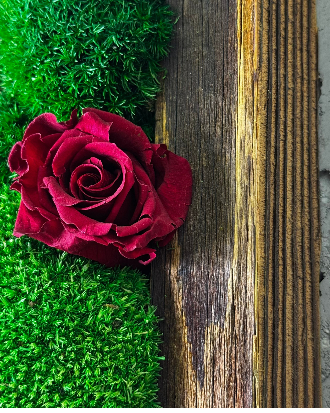 "Grüne Vielfalt" - immagine 11