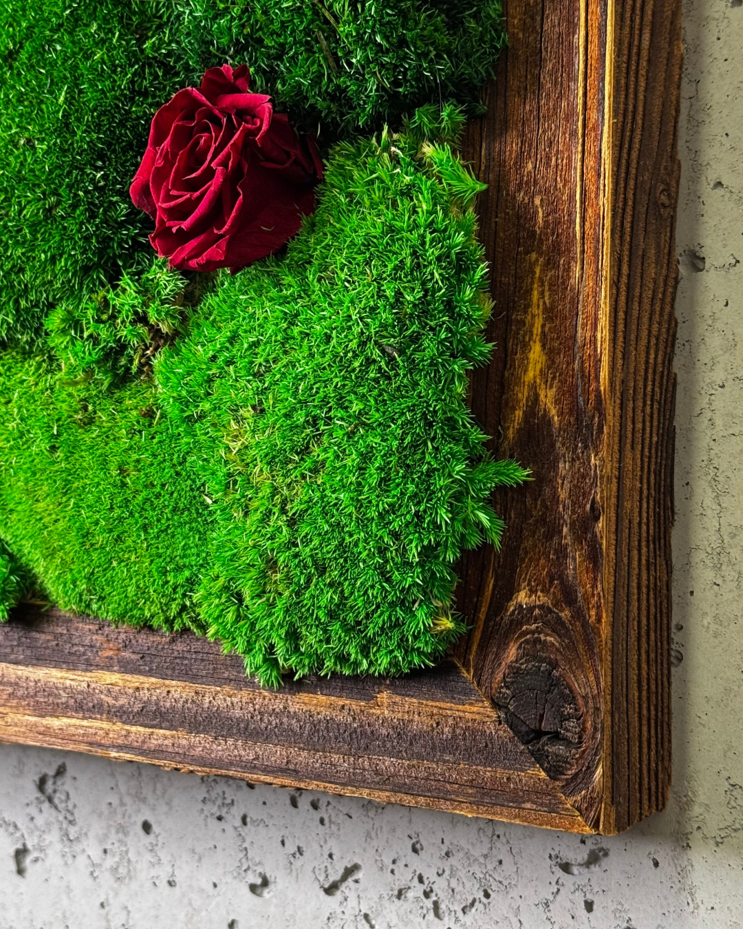 "Grüne Vielfalt" - immagine 12