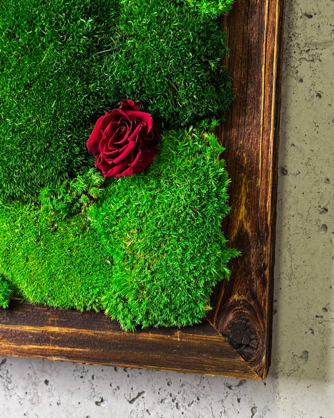 "Grüne Vielfalt" - immagine 13