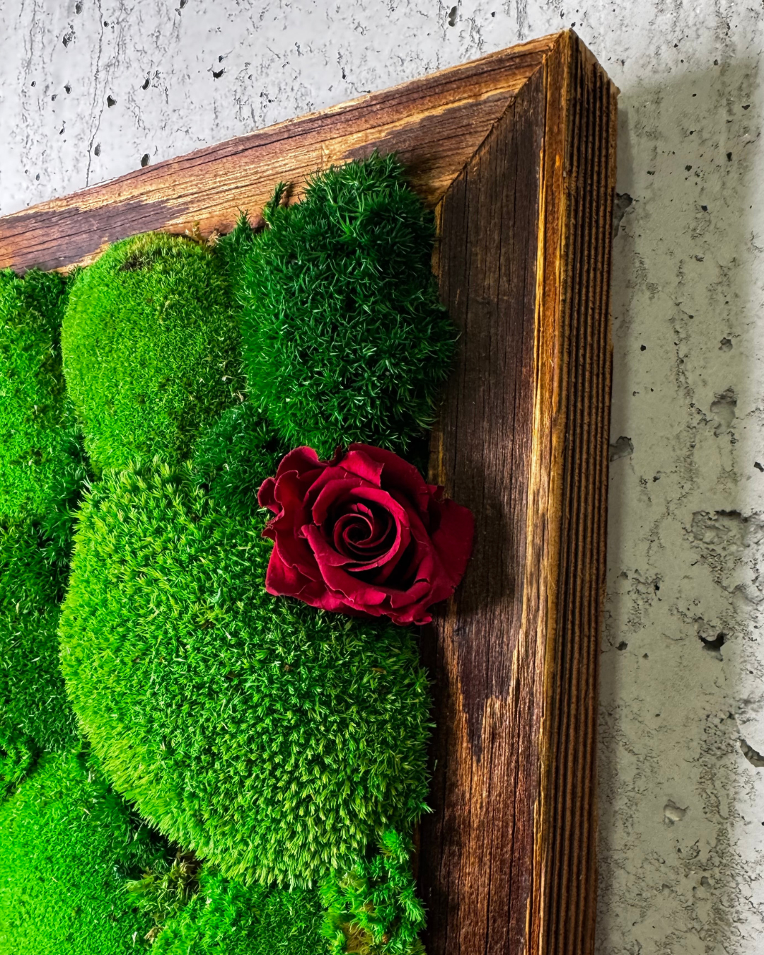 "Grüne Vielfalt" - immagine 4