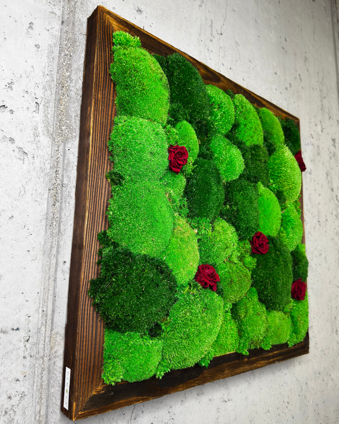 "Grüne Vielfalt" - immagine 6