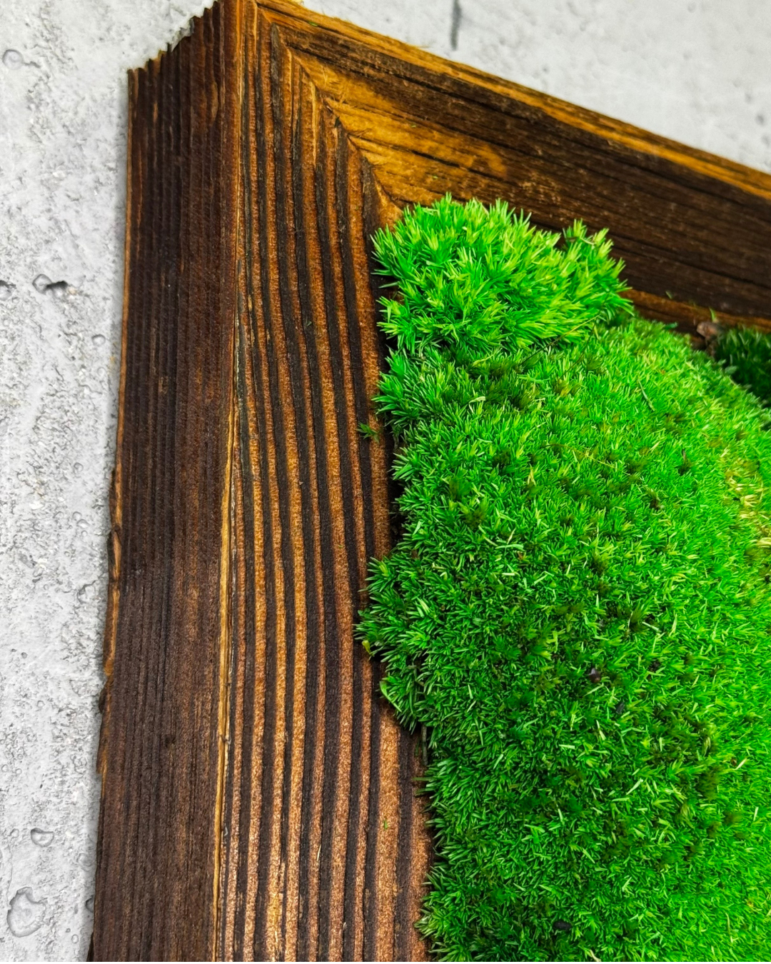 "Grüne Vielfalt" - immagine 7