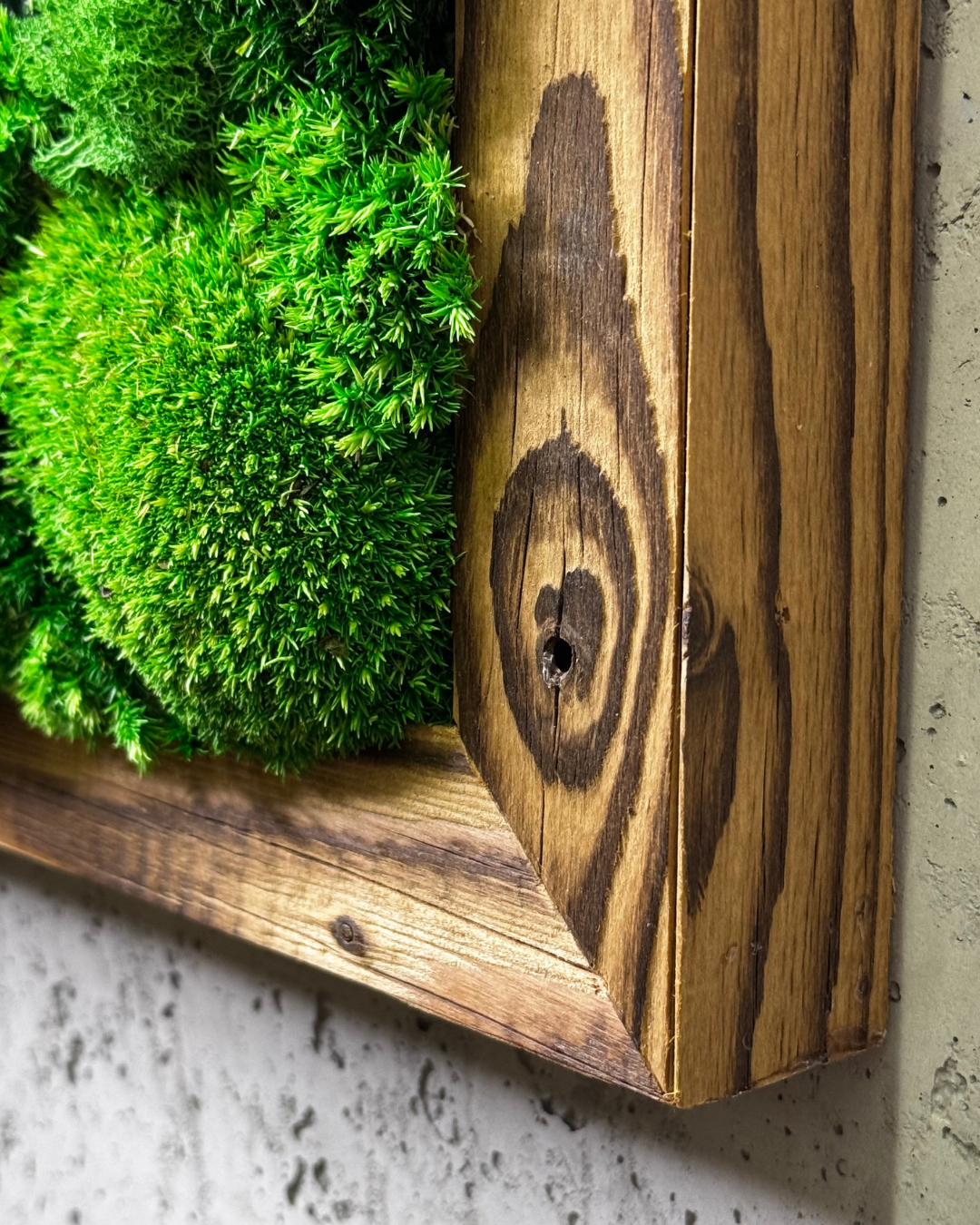 "Grüne Vielfalt" - immagine 9