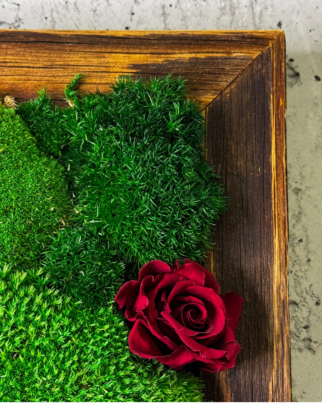 "Grüne Vielfalt" - immagine 10