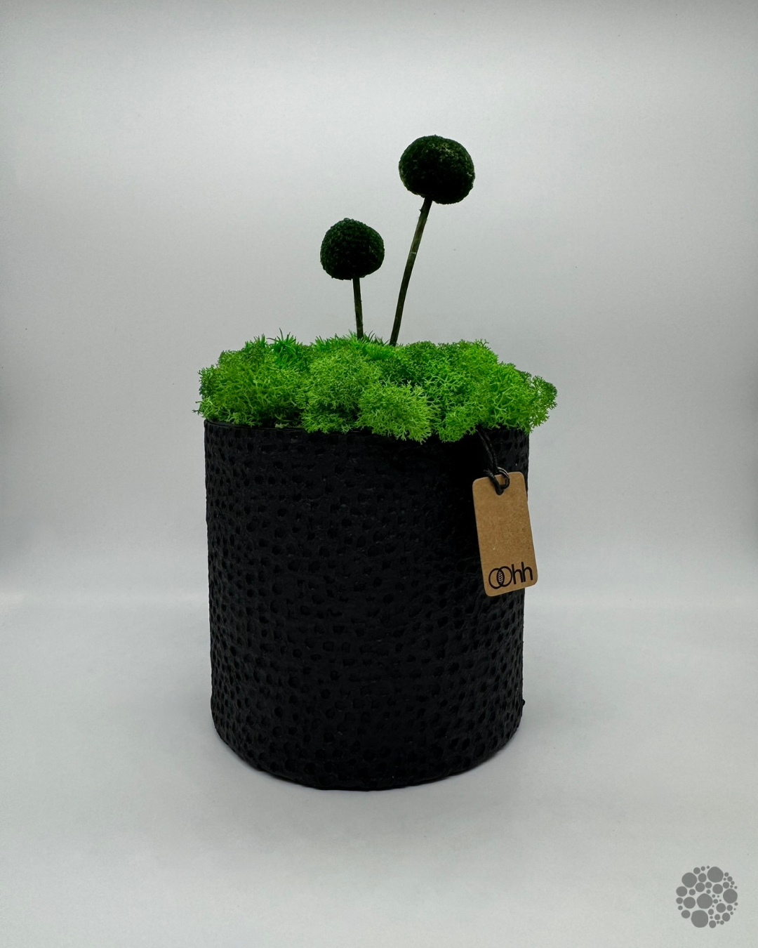 MOON DUO – Vaso con muschio – Edizione oohh