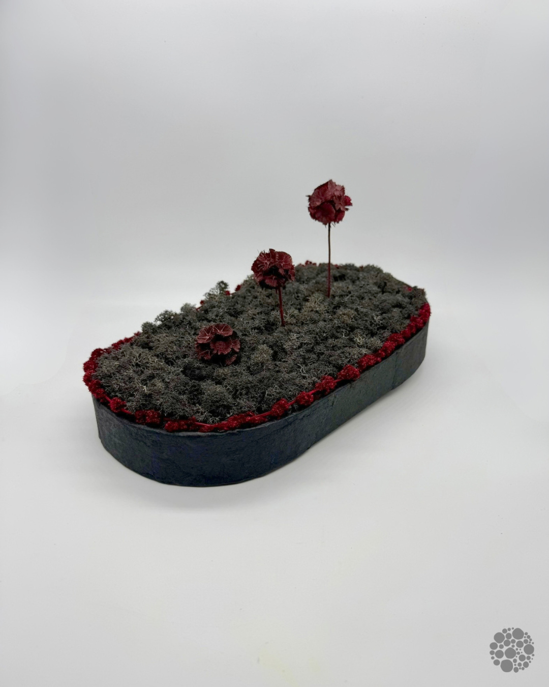 ANTHRA BLOOM BLACK – Vaso con lichene, scabiosa e amaranto – Edizione oohh