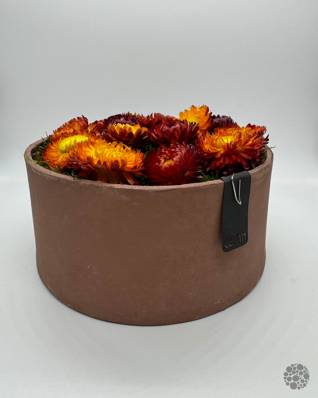FIELD BLOOM – Vaso con muschio – Edizione oohh