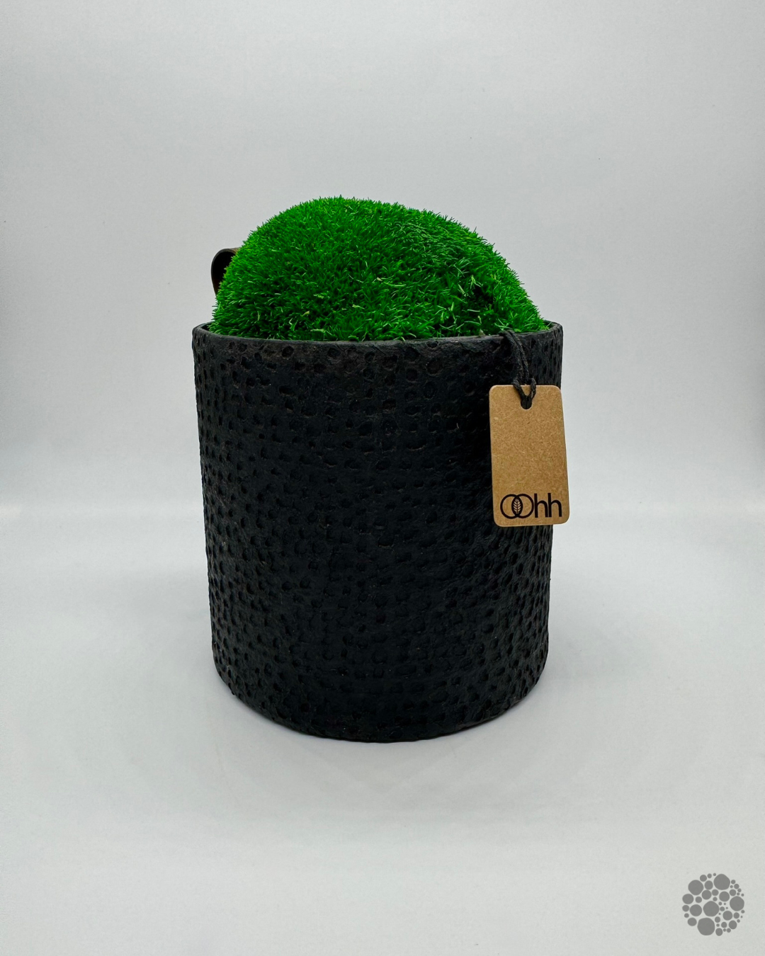 FOREST CLOUD – Vaso con muschio – Edizione oohh