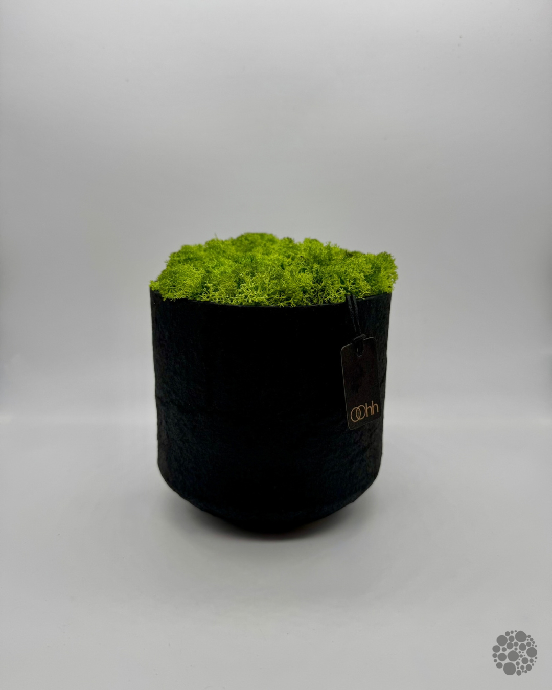 LIME MEADOW – Vaso con muschio – Edizione oohh