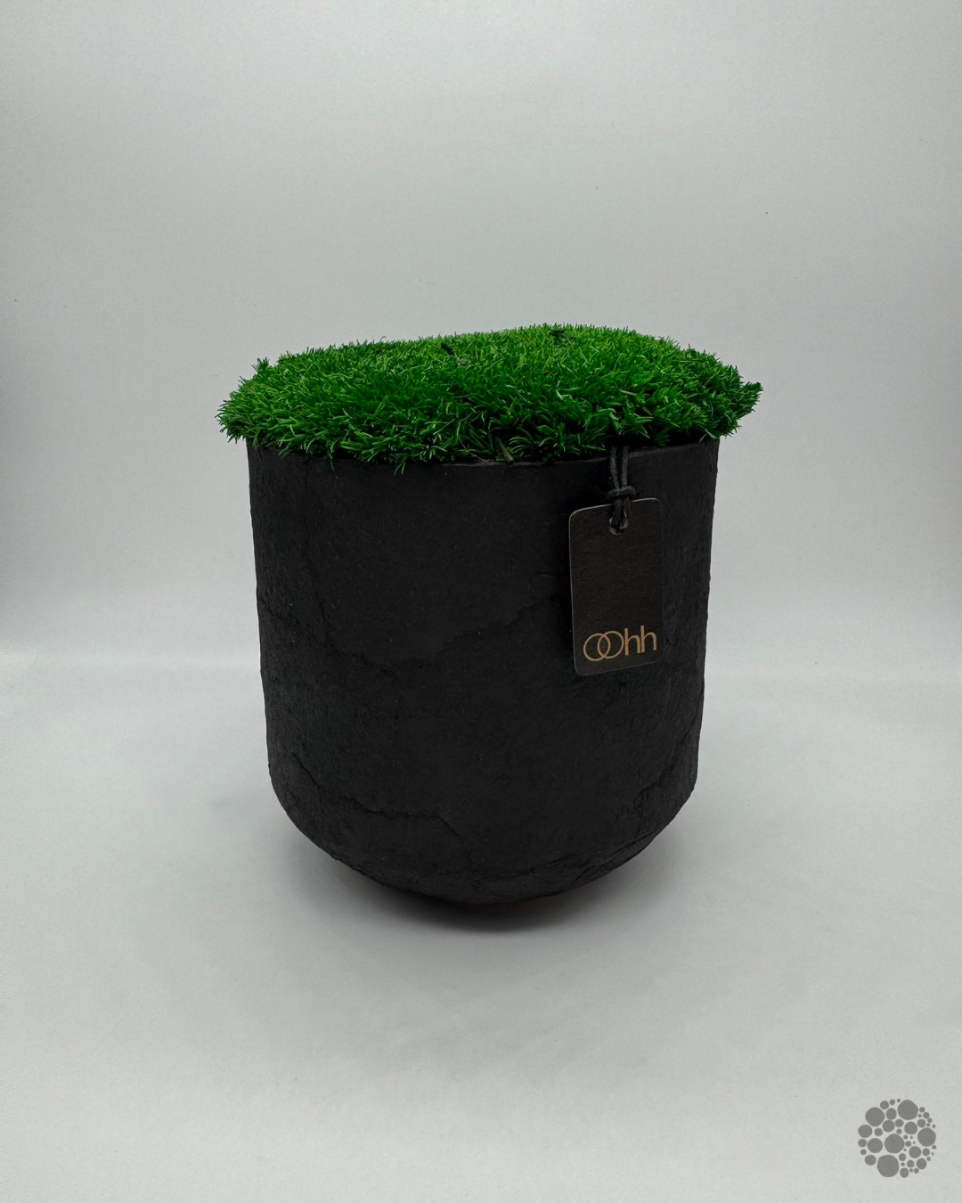 MOSS CARPET – Vaso con muschio – Edizione oohh