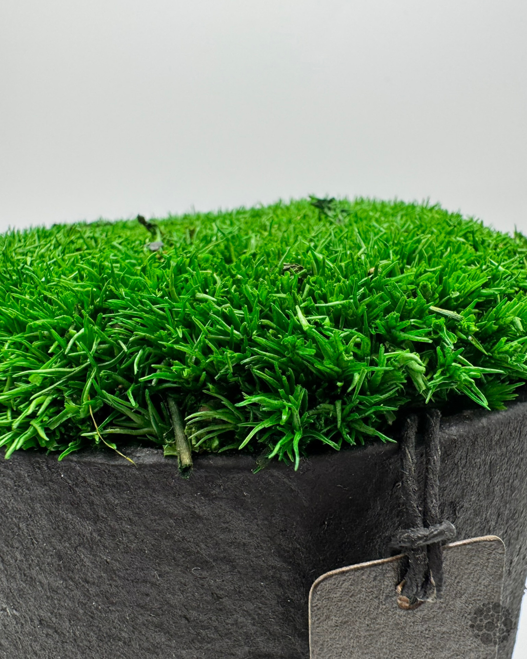 MOSS CARPET - Moos-Gefäß - oohh Edition – Bild 3