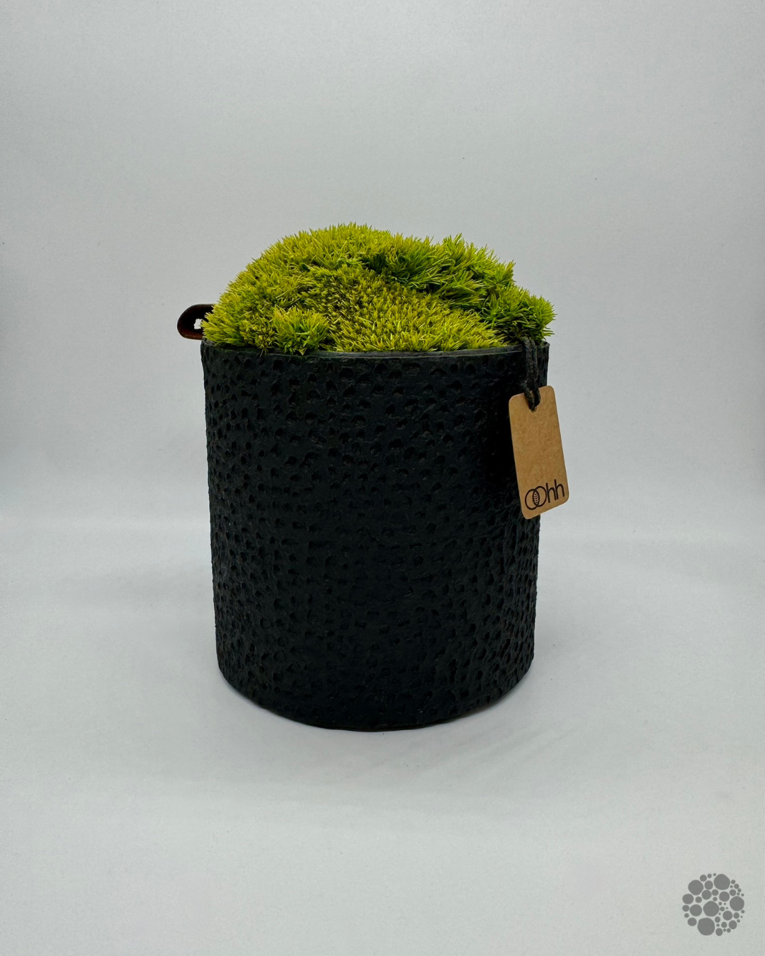 MOSS DOME – Vaso con muschio – Edizione oohh