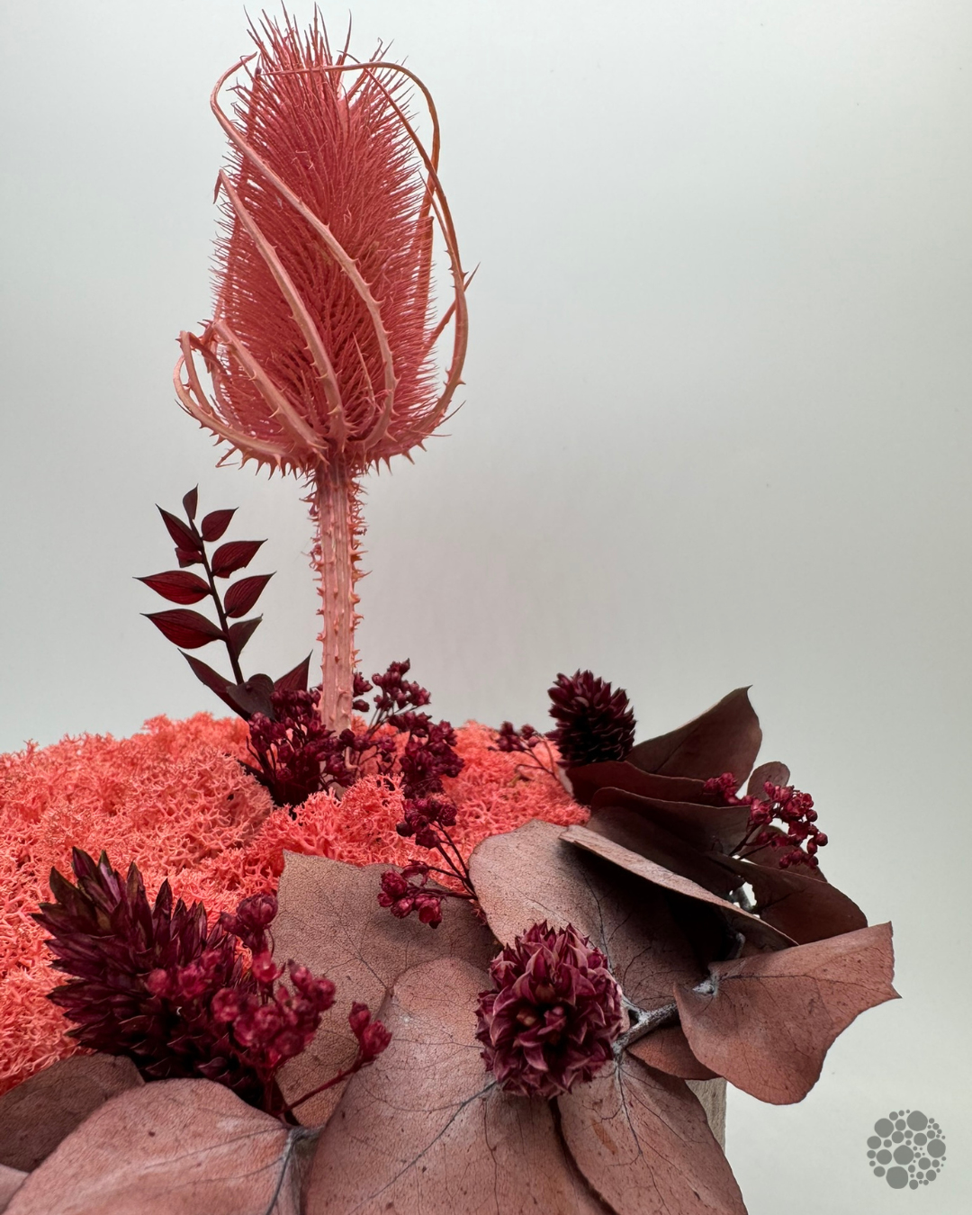 PINK BLOOM - Moos-Gefäß - oohh Edition - immagine 3