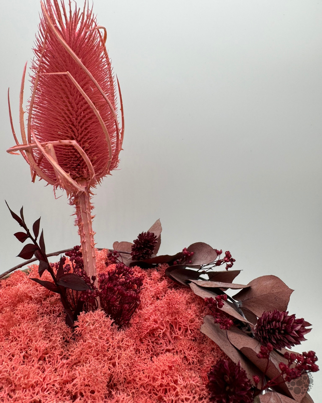 PINK BLOOM - Moos-Gefäß - oohh Edition - immagine 5
