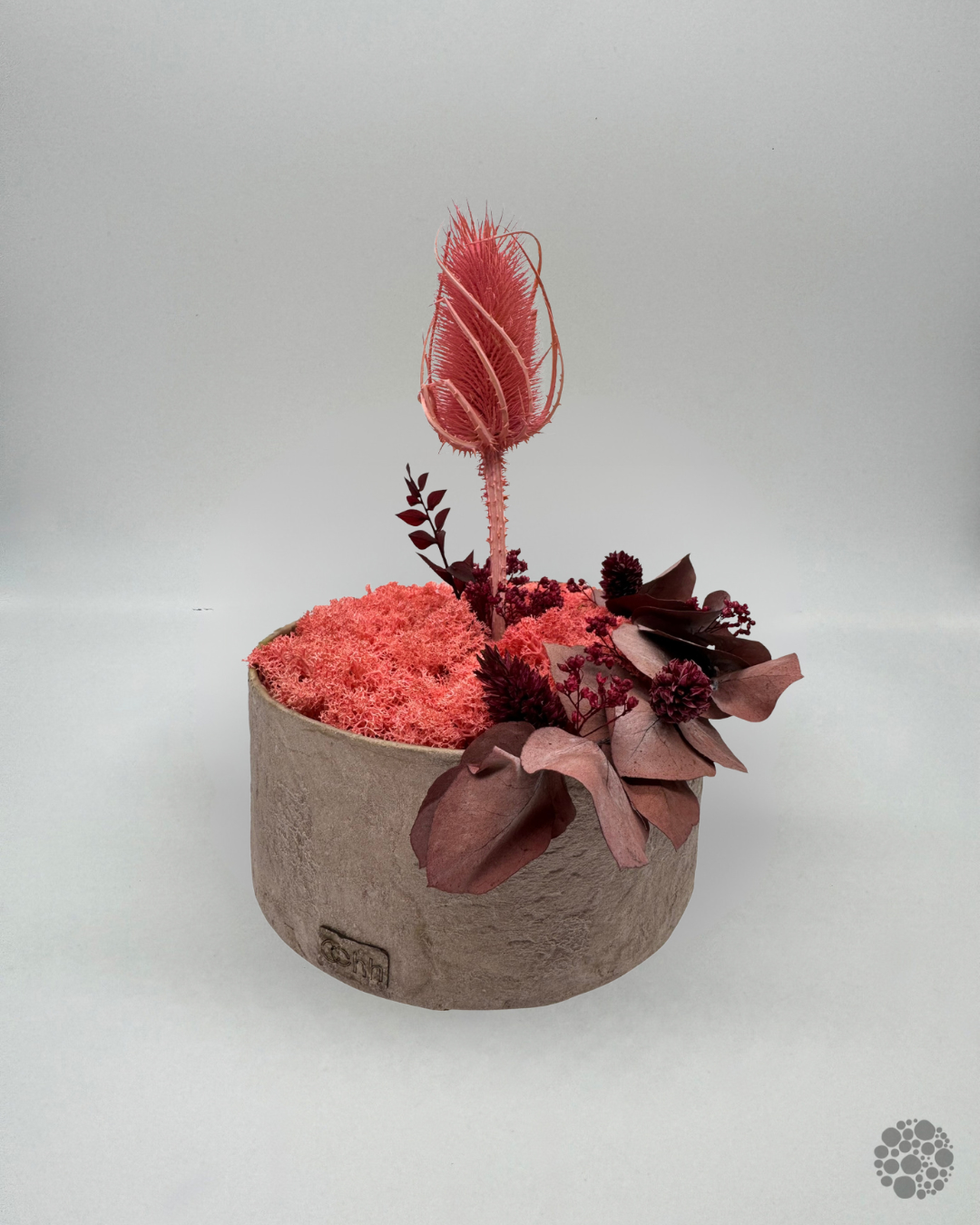 PINK BLOOM – Vaso con muschio – Edizione oohh