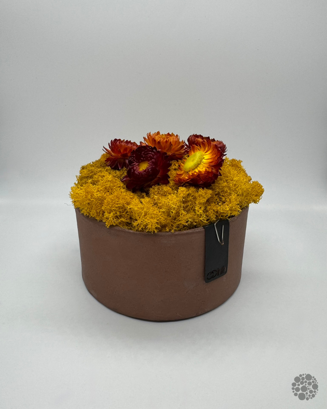 SUN BLOOM – Vaso con muschio – Edizione oohh