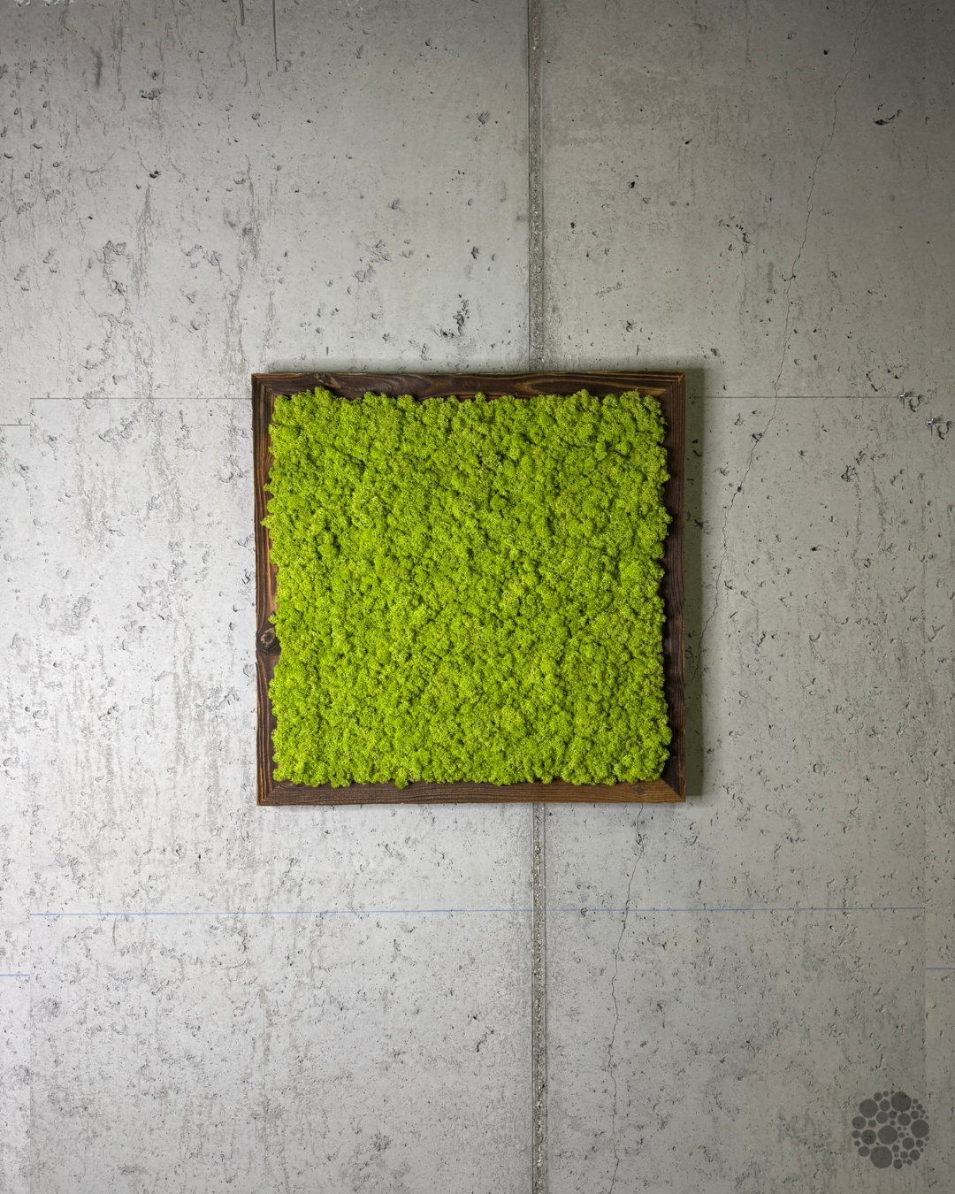 LIME STILL – Quadro di lichene verde con cornice in legno di recupero