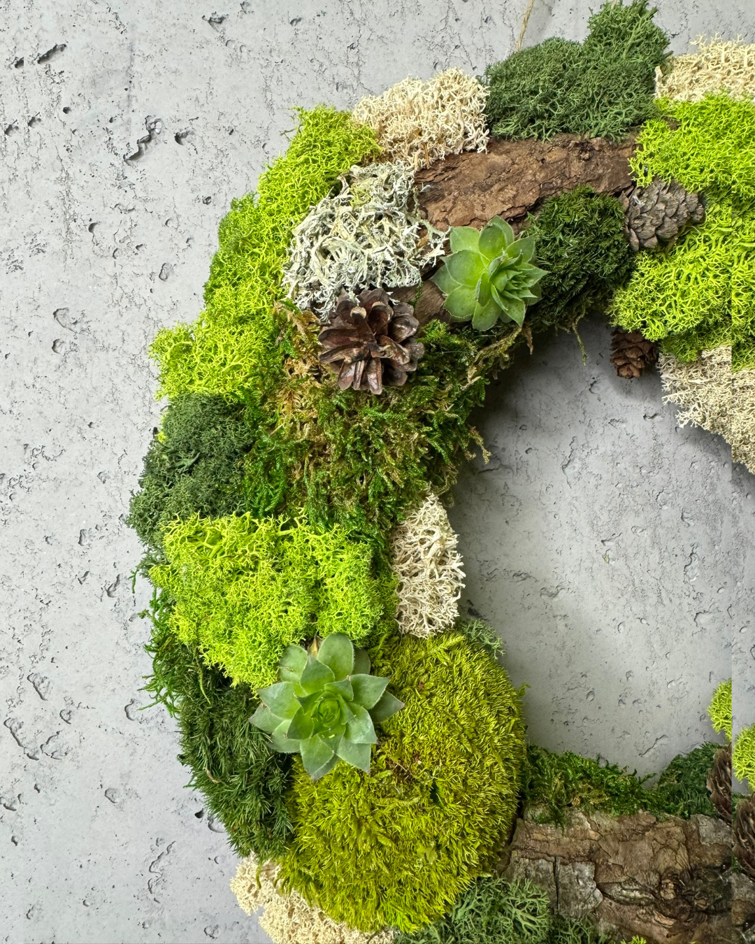 WOODLAND WREATH – Mooskranz mit getrockneten Sukkulenten - immagine 3