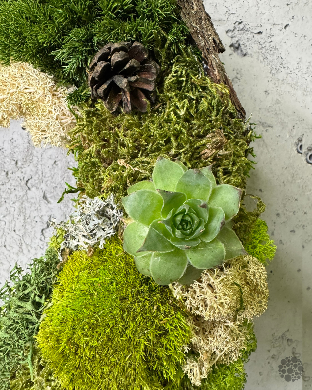 WOODLAND WREATH – Mooskranz mit getrockneten Sukkulenten - immagine 4