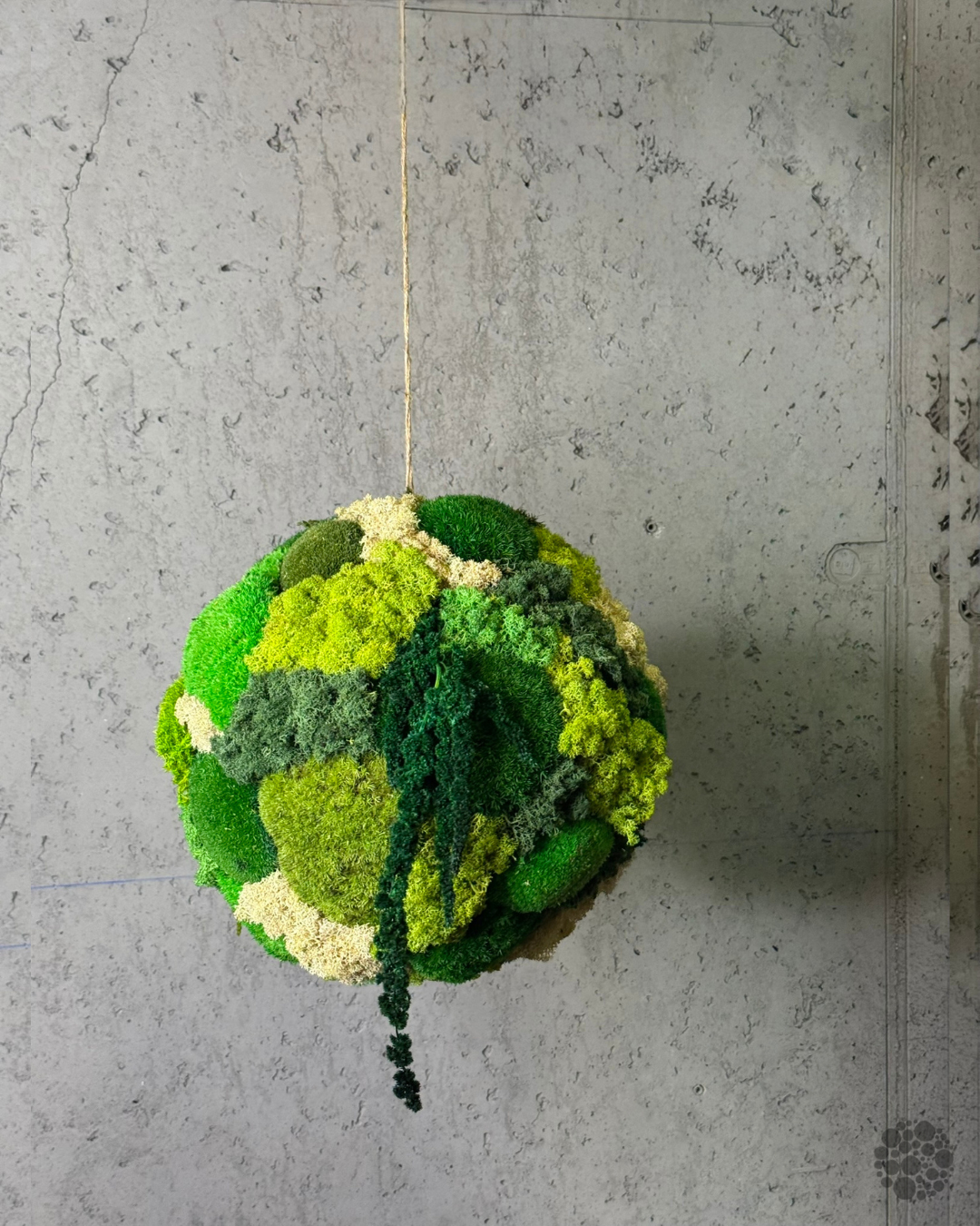 FOREST ORBIT – Sfera di muschio da appendere con dettagli vegetali