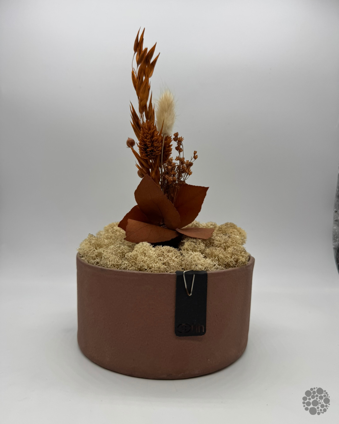 AMBER RISE – Composizione di lichene in vaso – oohh Edition
