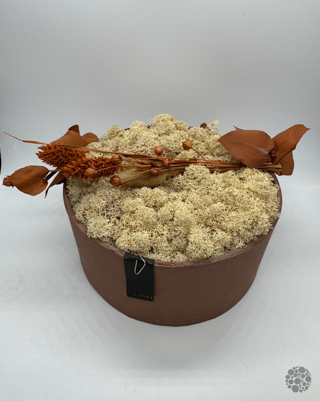 AMBER NEST – Composizione di lichene in vaso – oohh Edition