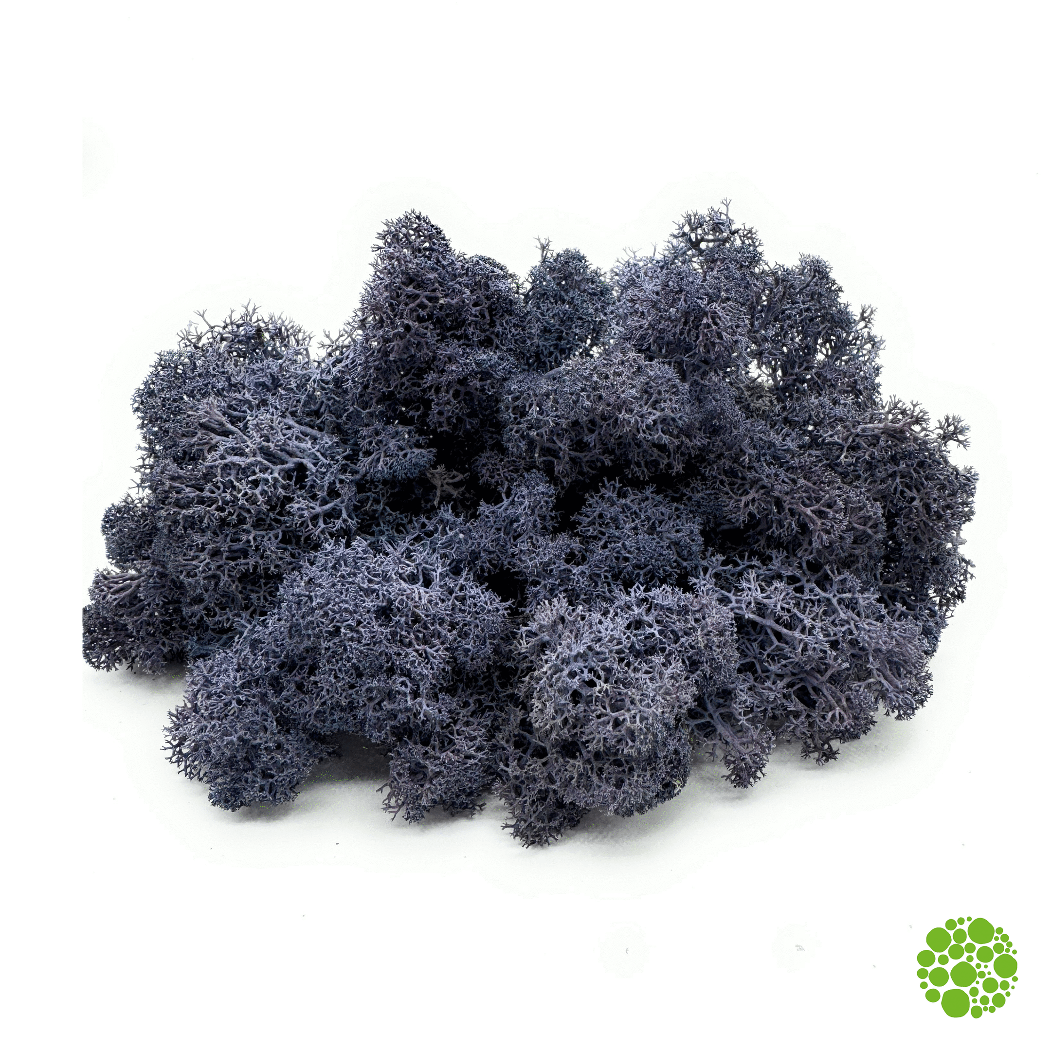 Rentiermoos - lavender