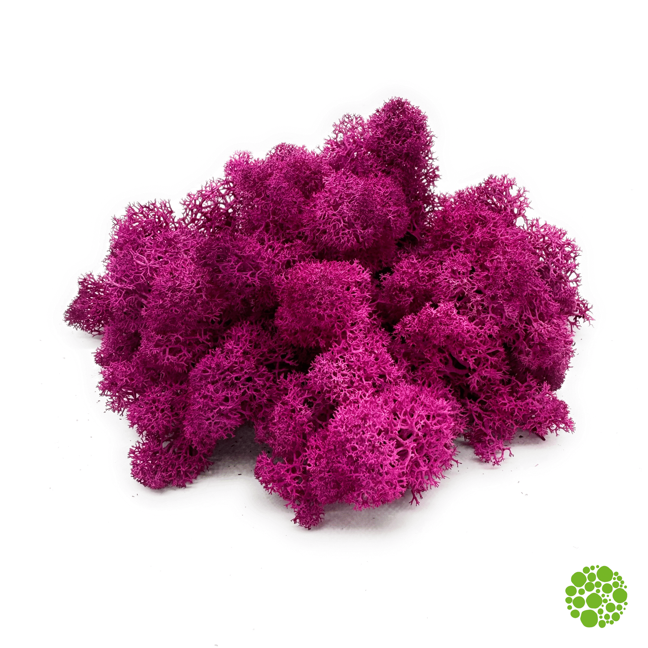 Rentiermoos - fuchsia