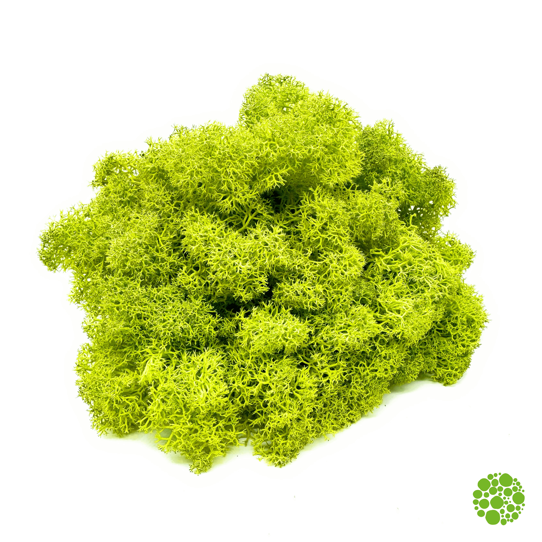 Rentiermoos - light green