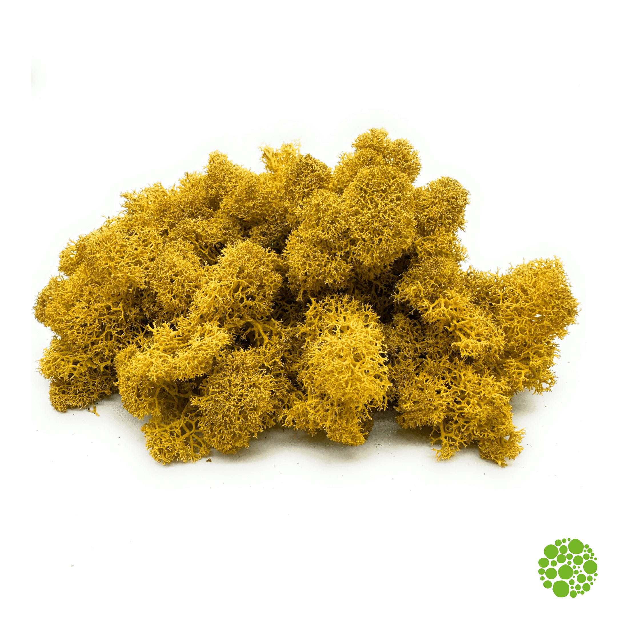 Rentiermoos - yellow