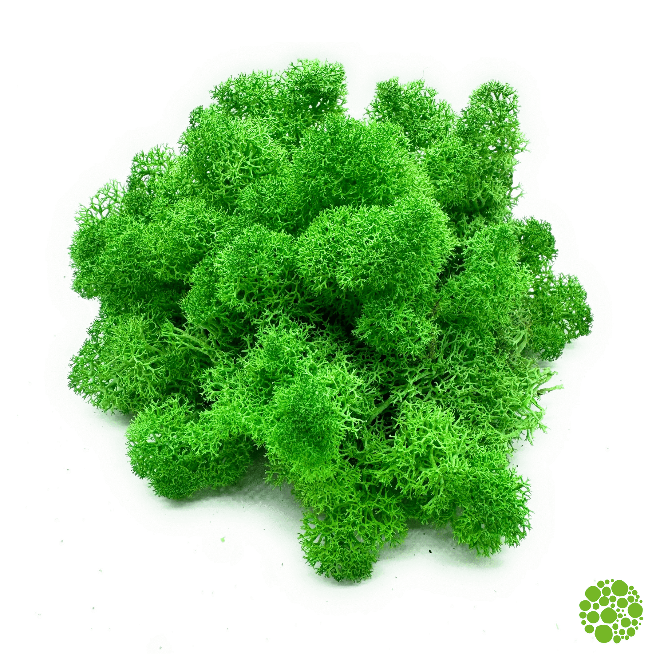 Rentiermoos - medium green