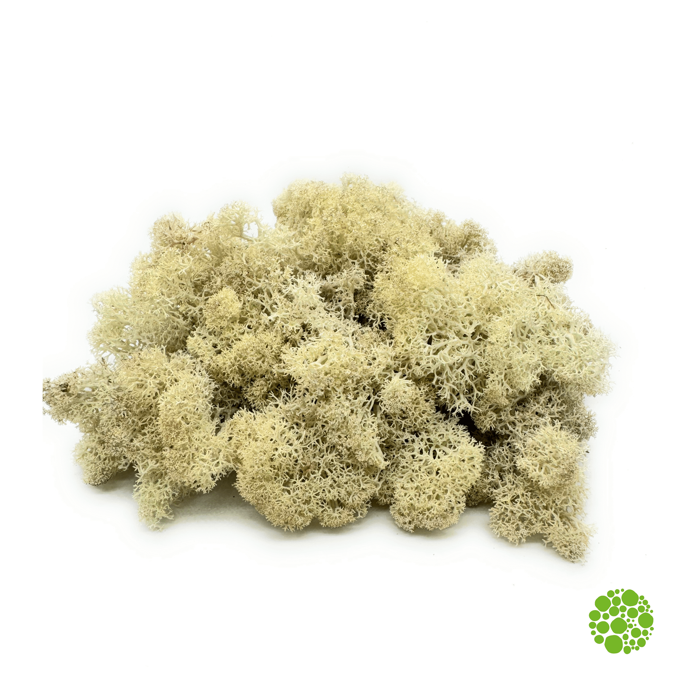 Rentiermoos - natural