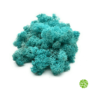 Rentiermoos - light blue