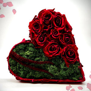 "Red & Green Harmony"