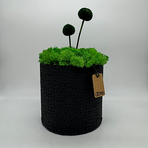 MOON DUO – Vaso con muschio – Edizione oohh