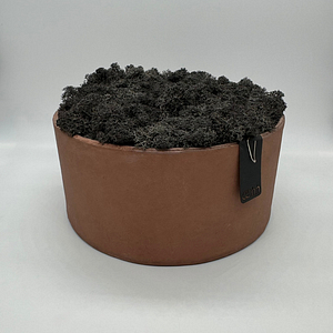 ANTHRA PURE – Vaso con muschio – Edizione oohh