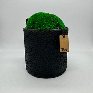 FOREST CLOUD – Vaso con muschio – Edizione oohh