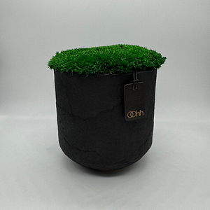 MOSS CARPET – Vaso con muschio – Edizione oohh