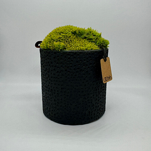 MOSS DOME – Vaso con muschio – Edizione oohh