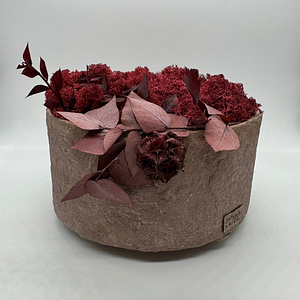 EUCA BERRY – Vaso con lichene ed eucalipto – Edizione oohh