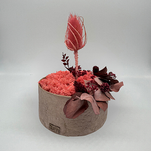 PINK BLOOM – Vaso con muschio – Edizione oohh