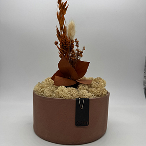 AMBER RISE – Composizione di lichene in vaso – oohh Edition